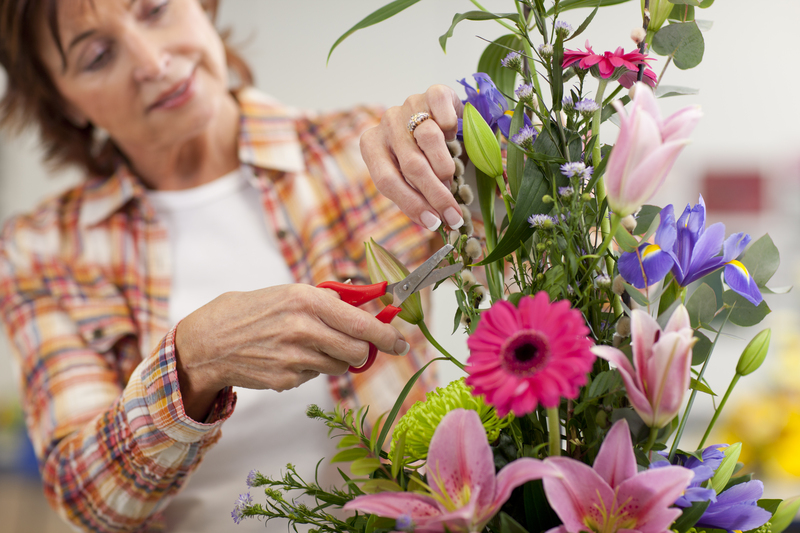 flowers flowers  / causes flowers