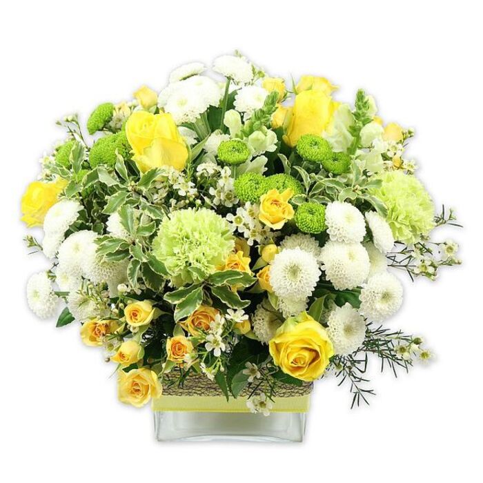 A stylish, dome-shaped bouquet in a clear square glass vase showcases a joyful palette of sunny yellows, crisp whites, and vibrant greens, photographed on a clean white backdrop for a bright, contemporary feel. Prominent yellow roses form the visual focal point, their velvety petals layered in generous spirals, some fully open and others in tight buds that hint at blooms still to come. Interlaced among them are petite yellow spray roses, their multiple smaller blossoms clustered together to add intricacy and a sense of abundance. White pompom chrysanthemums, tightly packed with petals and rounded like soft snowballs, fill the spaces between, giving the arrangement a plush, cushiony texture that balances the boldness of the roses. Sparkling lime green button chrysanthemums dot the bouquet like little orbs of colour, while fuller, ruffled pale-green blooms, reminiscent of green carnations or speciality chrysanthemums, lend additional volume and a fresh, garden-like character. The flowers are embraced by an array of greenery: glossy deep-green leaves, fine filler foliage, and broader variegated leaves with creamy-white margins that echo the white blooms and create a layered, dimensional effect. Around the centre of the vase, a band of rustic, woven natural fibre is wrapped snugly, then accented with a neat lime green ribbon, adding a handcrafted detail that feels perfectly at home in the creative, community-focused streets of Leyton. The clear glass reveals the cleanly trimmed stems inside, expressing the care and precision typical of an experienced local florist. This arrangement evokes warmth, renewal, and easy sophistication, ideal as a cheerful centrepiece for a family gathering, a congratulatory surprise delivered to a new flat off Leyton High Road, or a bright pick-me-up for someone in one of the offices along Francis Road.